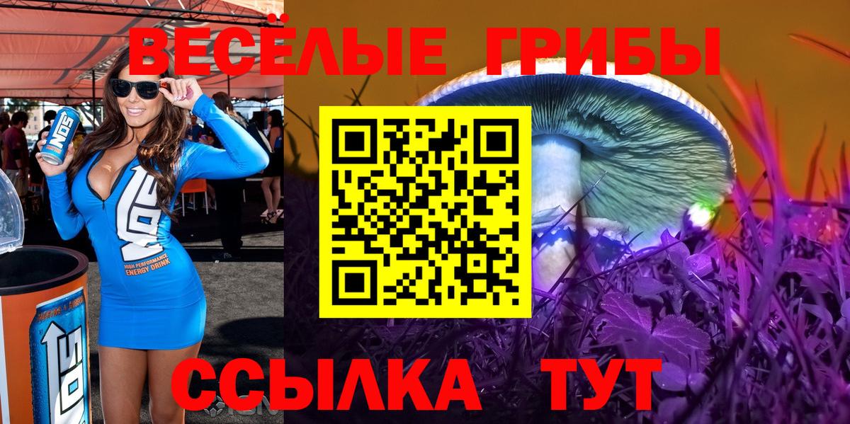 Псилоцибиновые грибы прущие грибы Всеволожск